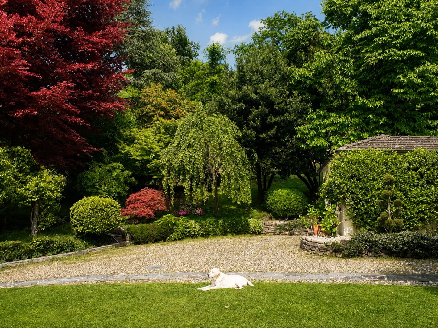Exclusive Villa with Lake View on Lake Maggiore — Luino