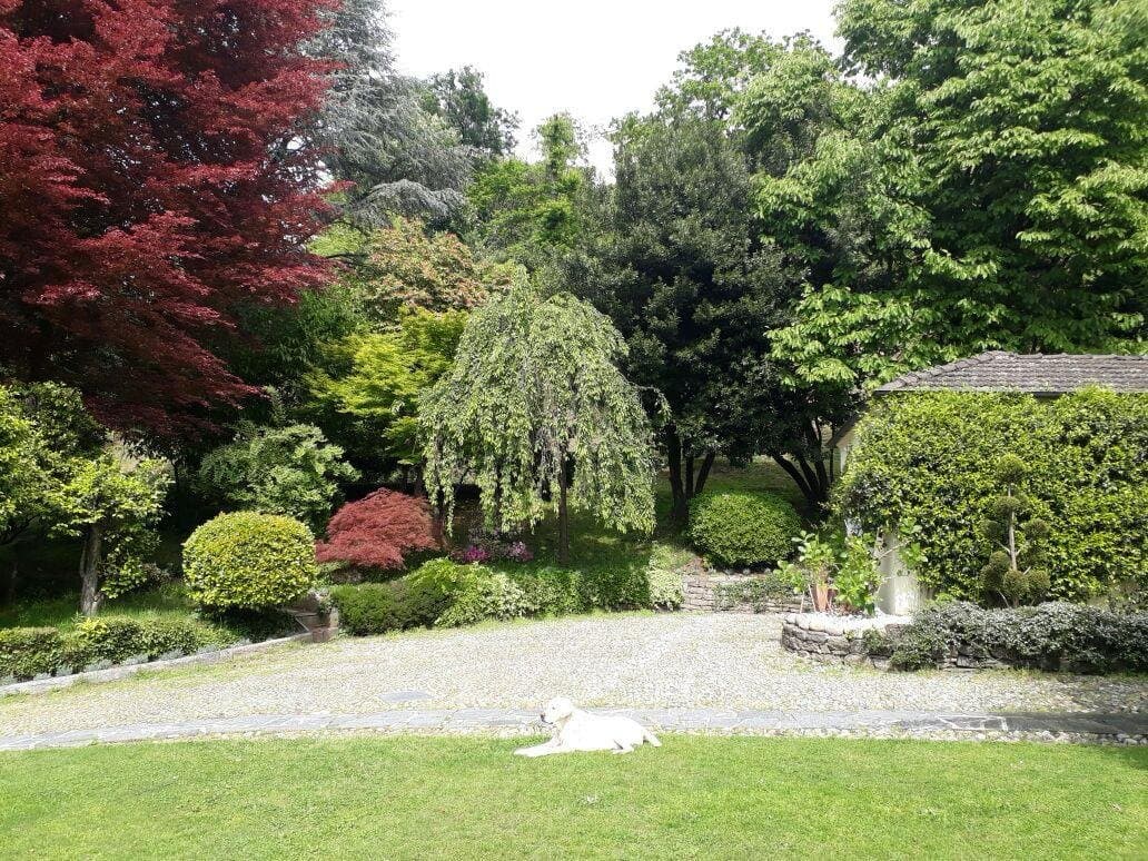 Villa esclusiva con vista lago sul Lago Maggiore — Luino